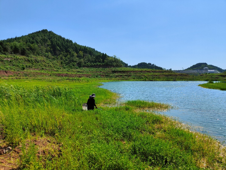 四川省蓬溪船山灌区工程环境监测水生态调查监测