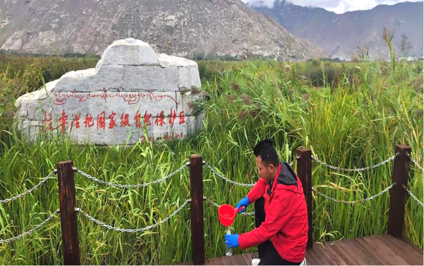 西藏自治区科技厅自然基金项目“拉鲁湿地水质净化功能研究”水质监测